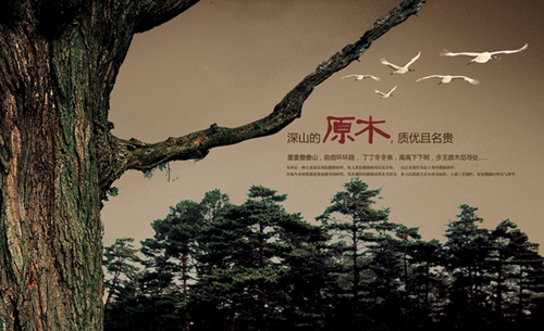 ����������������Ĳ���¥�����޹�˾